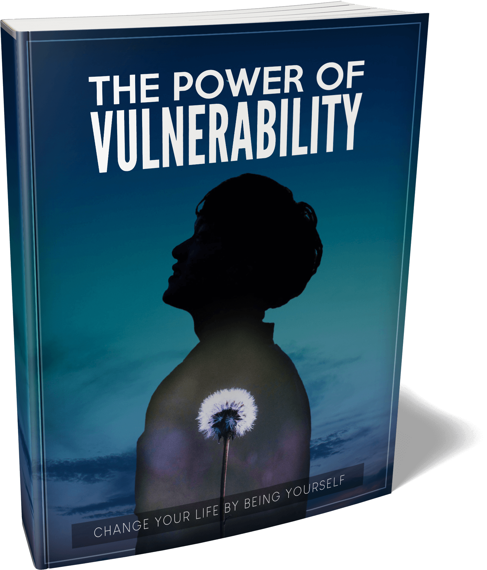 The Power of Vulnerability
 